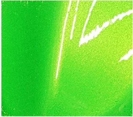 CANDY LIME GREEN 400ML AEROSOL/SPRAY CAN KIT - PRO QUALITY PAINT - 3 CANS