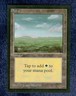 PLAINS (C)  1993 COLLECTOR'S EDITION  Magic the Gathering Unplayed   NM