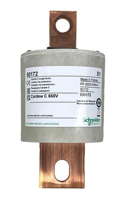 EW 50172, Schneider Electric, cartridge Cardew - type C - 660 V | eBay