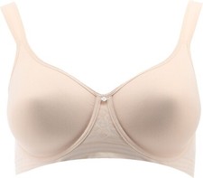 Breezies Floral Stripe Seamless Underwire T-Shirt Bra Champagne 34 NEW 889