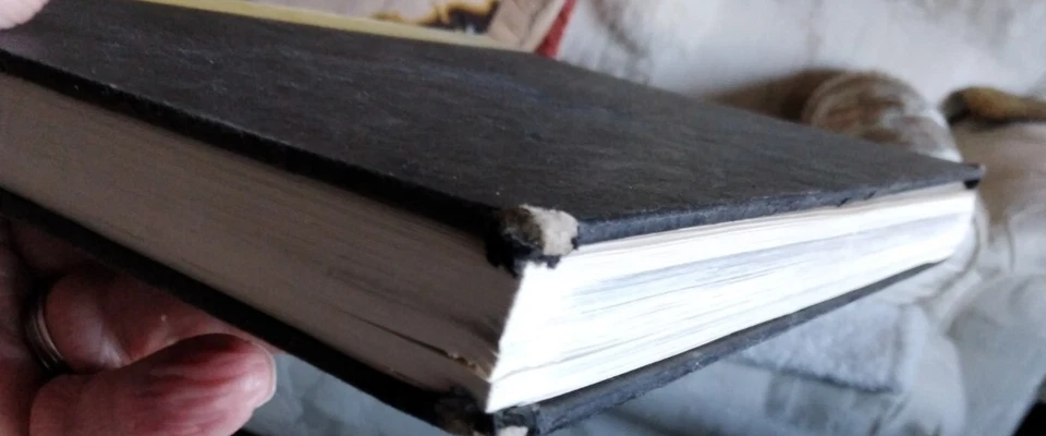 TIMOTHY O'SULLIVAN America's Forgotten Photographer JAMES D. HORAN 1966 HB/DJ Foto 3 de 4