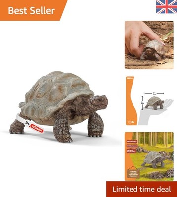 Wild Life - Riesenschildkröte Figur - Realistische Galapagos Schildkröte Figur mit ...