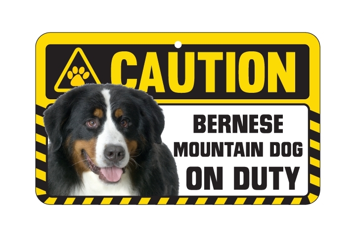 Dog Sign Caution Beware - Bernese Mountain Dog