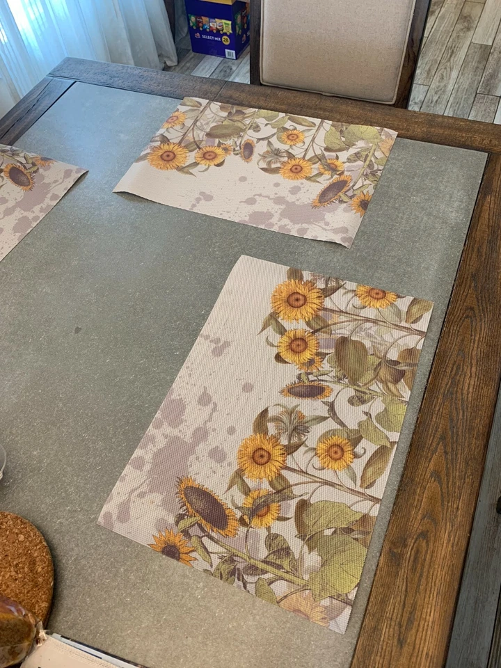 4 PIEZAS PVC + PULIDO manteles individuales para mesa de comedor Foto 4 de 4