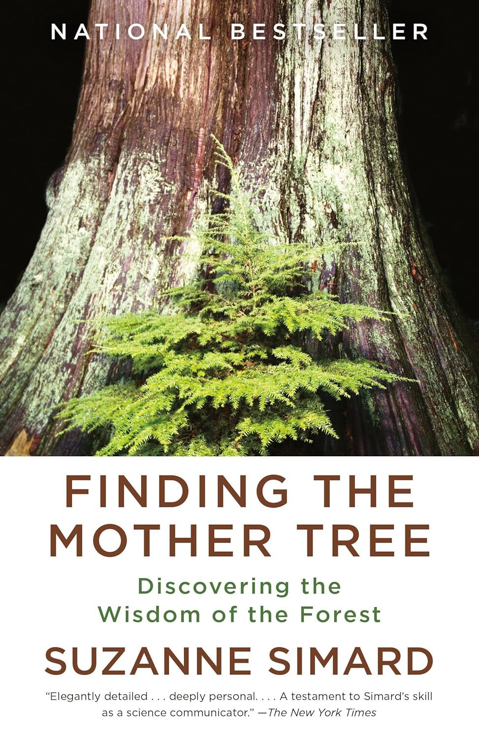 Discover Forest Wisdom with Finding the Mother Tree by Suzanne Simard