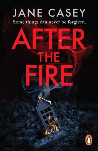 After the Fire 9781804942611 Jane Casey - Free Tracked Delivery