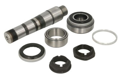 Achsstummel - Reparatursatz für RVI C, D, K, KERAX, MAGNUM, PREMIUM, PREMIUM 2