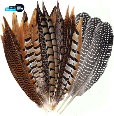 Natural Pheasant Feathers 4 Style 15 20Cm 12Pcs Natural Feathers for DIY