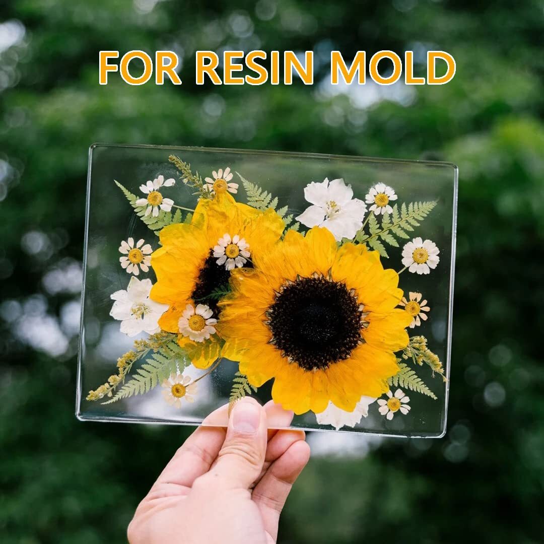 Big Dried Flowers for Resin Mold Pressed Flower Natrual Dry Leaves Plant Herb...