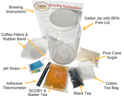 Kombucha Starter Kit EVERYTHING you need to make kombucha at home! Kombucha Brew