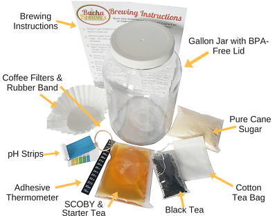 #ad #ad Kombucha Starter Kit EVERYTHING you need to make kombucha at home Kombucha Brew $39.99