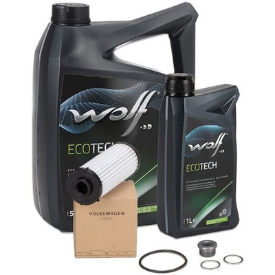 ORIGINAL AUDI VW Getriebefilter Satz 6-Gang DSG DQ250 + 6L WOLF Getriebeöl