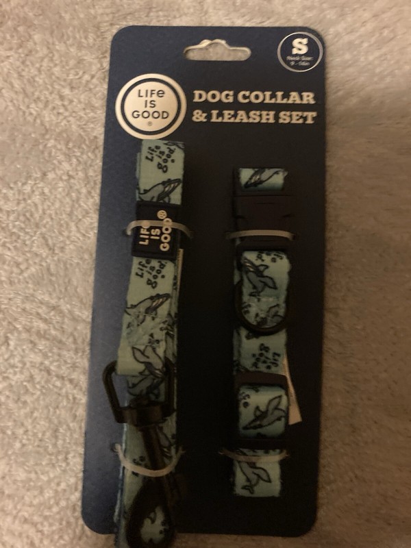 Dog Collar  & Leash Set