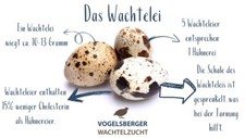 Delikatess Wachteleier Speiseeier