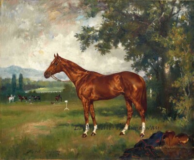 Horse Steed Race Animals Oil painting Wall art Giclee Printed on Canvas P2278