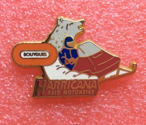 T04 Pins ARTHUS BERTRAND RAID