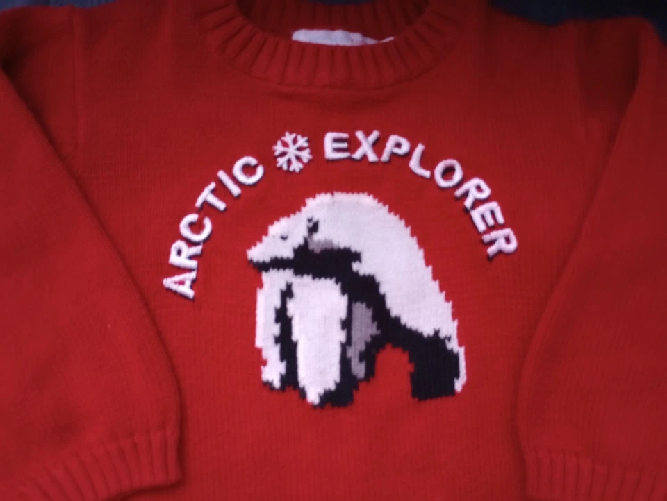 男孩北极熊雪人冬季毛衣尺寸 24 个月,2T — 第 2/4 张图片