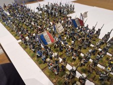 French Army Waterloo Napoleonic  Painted 28mm.  Correct markings for each unit.