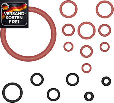 O-Ring Dichtung Set für Philips Latte Go Saeco Gaggia Spidem Kaffeevollautomat E