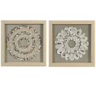 Sea Shell Rings Shadow Box Wall Décor (2 Piece Set)