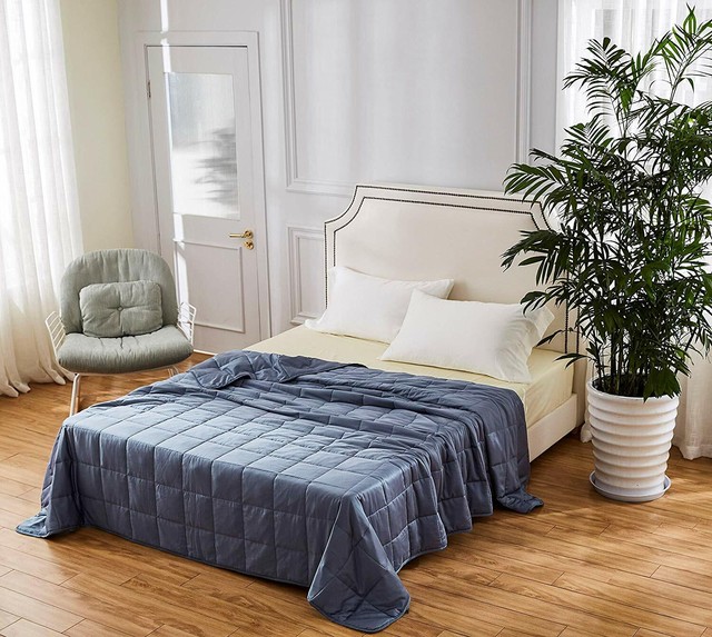 HomeSmart Products California King Size Weighted Blanket (25 lbs