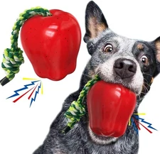 Dog Rope Fetch Exercise Squeak Toy for Medium/Large Aggressive Chewers