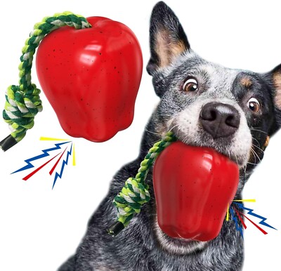 Dog Rope Fetch Exercise Squeak Toy for Medium/Large Aggressive Chewers