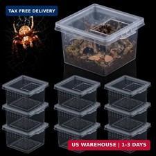 10 Pcs Insect Spider Terrariums Breeding Box Hatching Container Small Reptile Sc