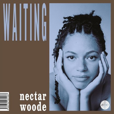 NECTAR WOODE FOR THE BEST NEW 7 INCH VINYL DISC
