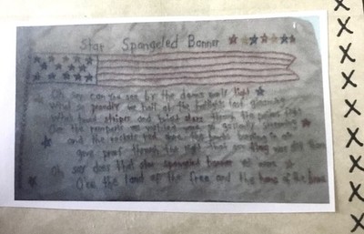 Primitive Hand Did AMERICANA FLAG by Plain Janes Embroidery KIT Patriotic
