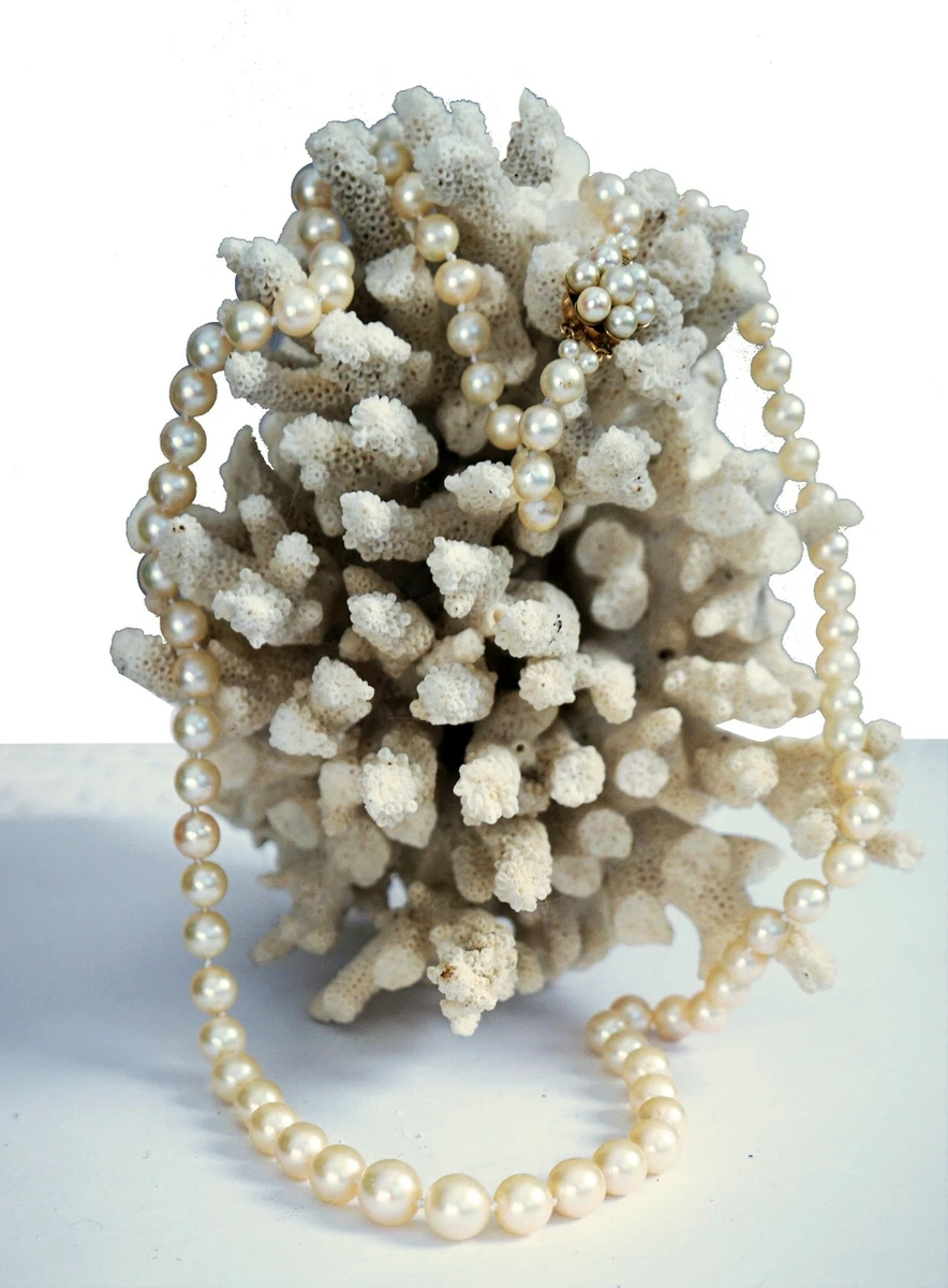 Graduated cultured pearl necklace hotsell