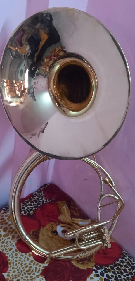 Sousafón Tuba Cuerno 22 Pulgadas Campana con Estuche Rígido Gratis y Boquilla Latón Pulido Foto 2 de 4