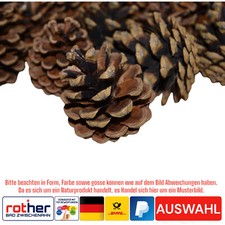 Tannenzapfen, Kiefernzapfen,Natur große Zapfen 5-10cm für Weihnachten, Deko usw.