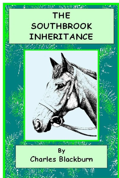Robbie Robinson | The Southbrook Inheritance | Taschenbuch | Englisch (2016)-image