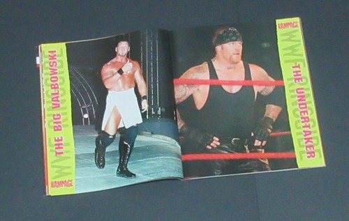 Rampage Magazine Summer 2002 Torrie Wilson WWE Diva Poster Triple H Hulk Hogan - Picture 7 of 8