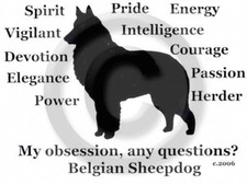 Belgian Sheepdog My Obsession, Any Questions T-shirt Choices