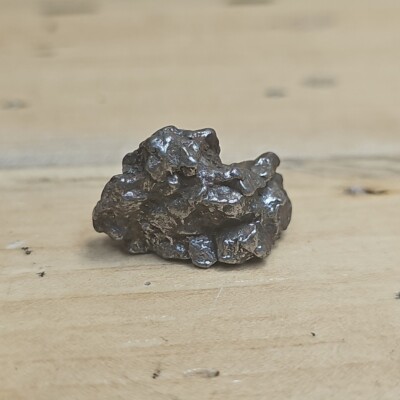 campo del cielo iron meteorite 19g Buenos Aires Argentina Y650 
