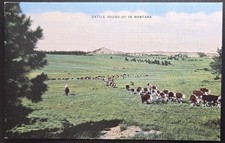 Cattle Round-Up Montana Northern Pacific Rail...