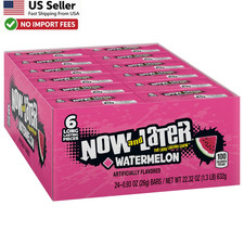Now and Later Watermelon Candy 0.93 oz Bars 24 Pack Chewy Taffy - FROM USA