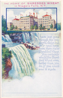 NIAGARA FALLS NY  THE  FALLS AND NABISCO CO. BLDG  HOME OF SHREDDED WHEAT