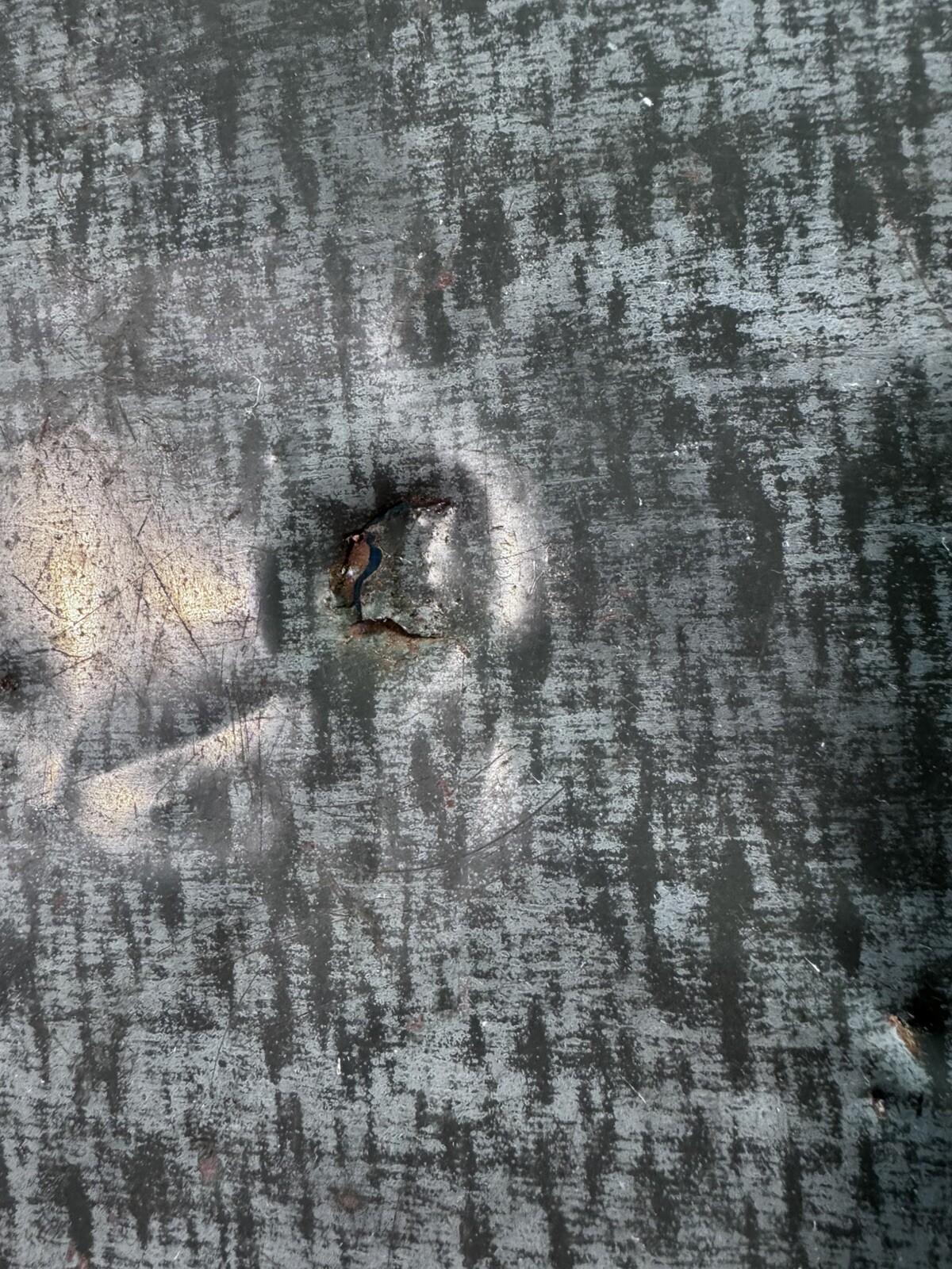 Picture 5 of 7