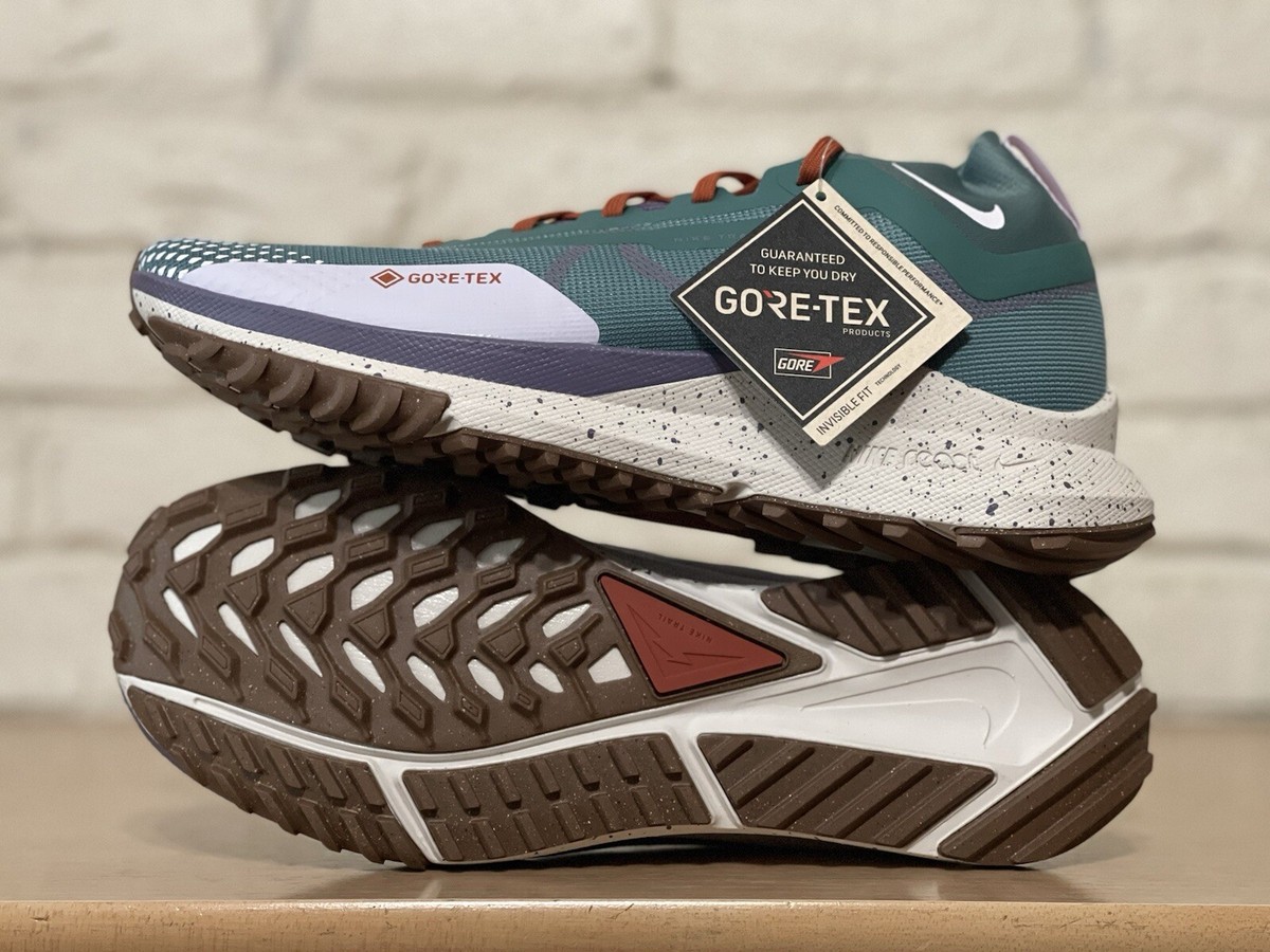 Size 11 Nike React Pegasus Trail GORE-TEX Bicoastal Phantom W