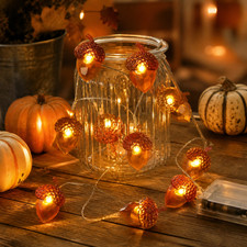 Acorn String Lights 2M 20 LED Copper Wire Fall Fairy Lights Thanksgiving Decor