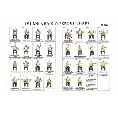 Tai Chi Chair Workout Chart, Chair Tai Chi for Seniors Wall Chart with Illust...