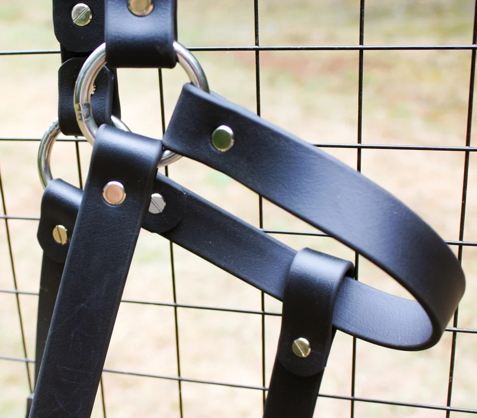 Soporte para caballo de biothane de Halloween Foto 3 de 4