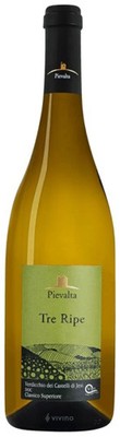 Pievalta - Tre Ripe Verdicchio dei Castelli di Jesi Classico Superiore 2024 (75