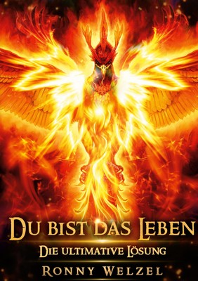 Du bist das Leben | Die ultimative Lösung | Ronny Welzel | Taschenbuch | 232 S.