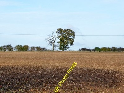 Foto 6x4 Heckenbäume Westcott Barton \/SP4225 Nur die zwei in diesem Kopf c2016