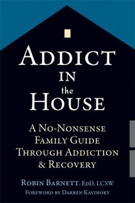 Addict in the House : A No-Nonsense Family Guide Through Addictio