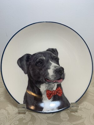 7'' Cute Dog Plate Hobby Lobby Decorative Plate Bow Tie Dog Kitchen Pet Decor